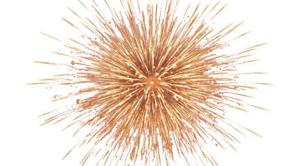 Obraz premium Golden burst of fireworks illuminating the night sky with sparkling trails