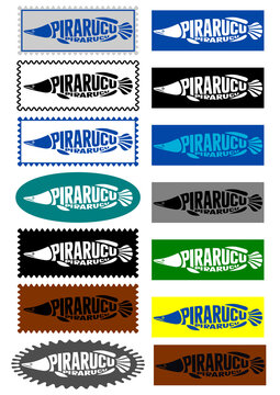 Set of pirarucu fish logos. Colorful vector silhouettes of Amazonian arapaima with typography in the form of postage stamps and badges