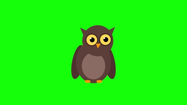 Cartoon Owl Blinking Eyes Animation on Green Screen Background Chroma Key.