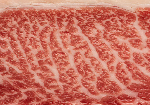 Raw beef texture detail