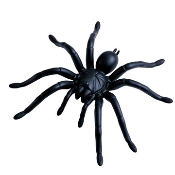 Large black plastic toy tarantula spider model isolated on transparent background PNG element