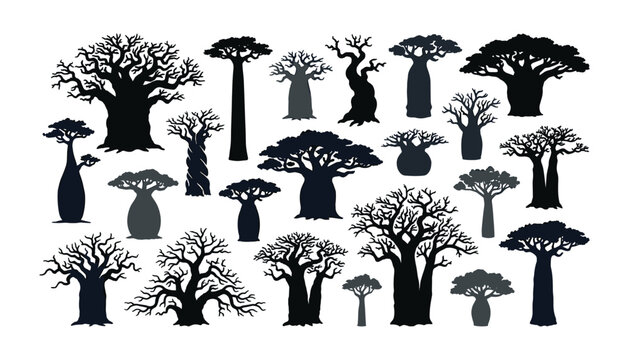 African baobab tree silhouette vector set with isolated exotic safari nature plants on white background