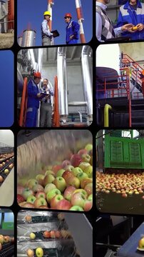 Endless Video Window Transit - Modern Industry, Food Production and Agribusiness Motion Background with angled 3D sliding grid displaying continuous factory automated workflow and farming concepts.
