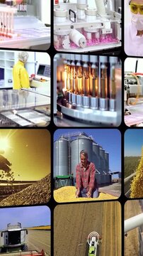 Infinite 3D Sliding Industrial Grid - Modern Manufacturing and Factory Workflow, Food Processing and Agriculture Motion. Global Industry and Farming Multi-Window Montage.