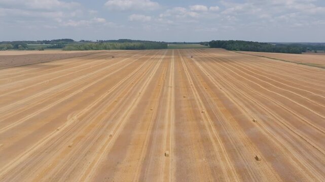 A tractor harvests straw rows in a wide agricultural landscape of Bruce County, Ontario. The high-angle drone flight captures geometric patterns and scattered round bales.