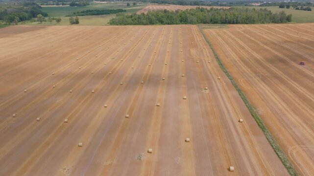 Rows of golden straw bales sit in a recently harvested field in rural Ontario, Canada. This wide aerial shot showcases the vast scale of agricultural production during the summer harvest.