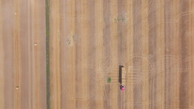 An overhead bird-eye perspective shows perfect lines of round straw bales scattered across a dry stubble field. The rich golden hues of the crop create a beautifully textured abstract landscape.