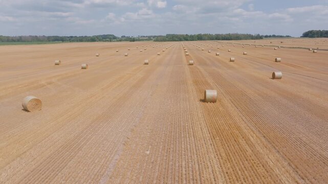 An aerial drone glides smoothly over a golden harvested field lined with rows of round straw bales. The farmland stretches toward the horizon in Bruce County, Ontario.