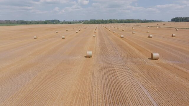 A drone flies forward over a vast agricultural field covered in dry golden stubble and rows of cylindrical straw bales. This rural landscape is in Bruce County, Ontario.