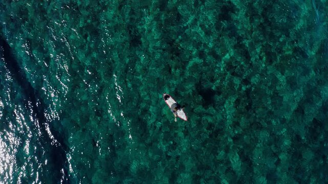 Zenithal drone shot of a lone surfer gliding over turquoise coral reef water at Teahupoo, Tahiti, a small silhouette against the vivid green sea.