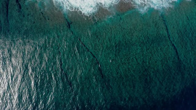 Zenithal top down drone shot of a turquoise wave breaking over the Teahupoo coral reef, Tahiti, whitewater curling across the dark barrel line.