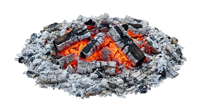 Glowing embers and charred wood logs smoldering in a pile of gray ash