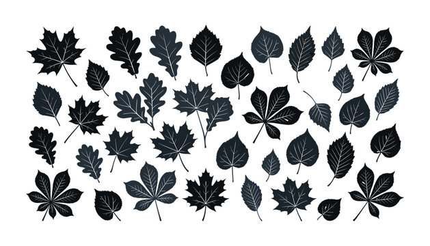 Black linocut tree leaf silhouette vector set with isolated autumn foliage stamps on white background