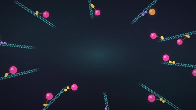 Motor proteins walking along microtubule tracks seamless loop