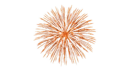 Obraz premium Bright orange firework exploding in a dazzling display against a white background