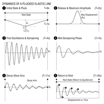 Scientific diagram showing the step-by-step physical dynamics of a plucked elastic line over time from initial displacement to damped oscillation and final return to rest state equilibrium
