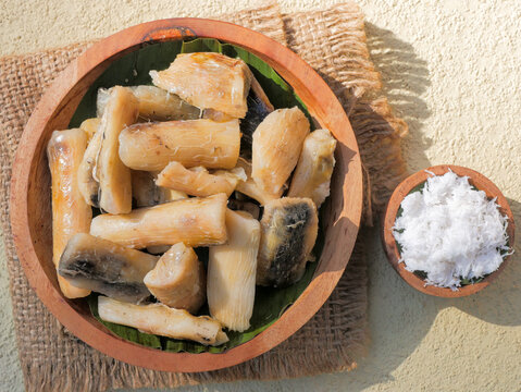 Gatot Singkong. A traditional Javanese food from Indonesia made from dried cassava, locally known as gaplek, with a distinctive chewy texture and traditionally served with freshly grated coconut.
