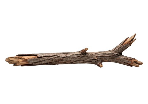 Old weathered wooden branch isolated on transparent background