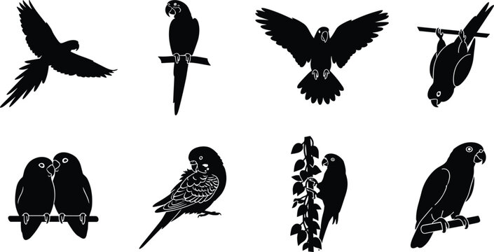 Collection of tropical parrot silhouettes in flying and perched poses for wildlife vector design