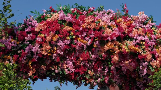 Colorful flower arch creating a vibrant outdoor decoration for an event