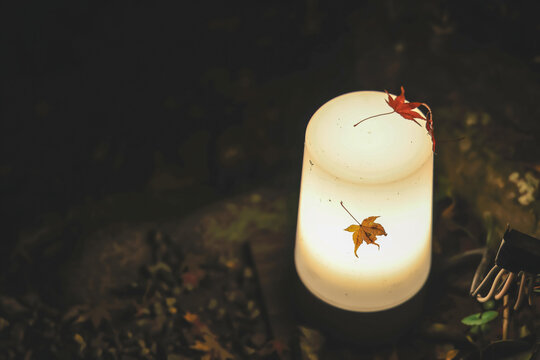 Soft lantern glows warmly beneath delicate fallen autumn leaves Nov 26 2025