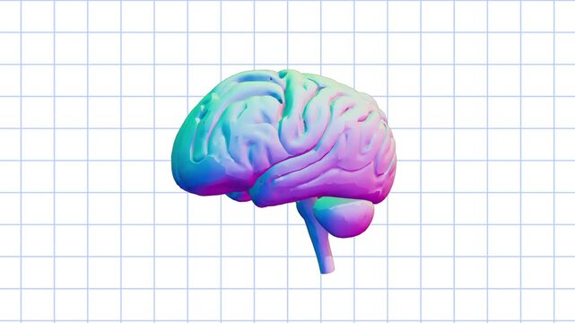 Human brain 3D model in vibrant iridescent rainbow colors rotating on a white grid paper background, an illustrative concept of cognitive intelligence and creative thought processes.