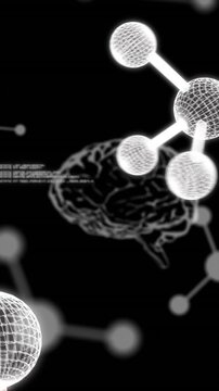 Animation of human brains and data processing over black background
