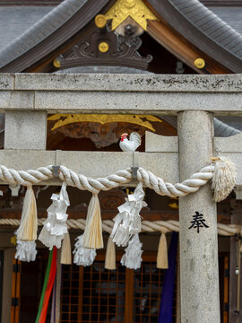 神社の鳥居と注連縄