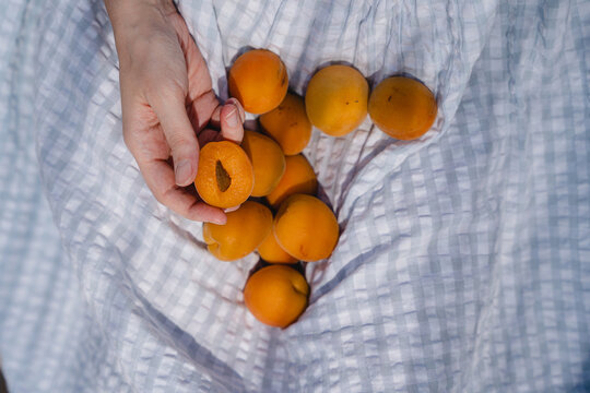 Minimalist Composition Of Fresh Summer Apricots On Light Blue Checkered Dress With Hand