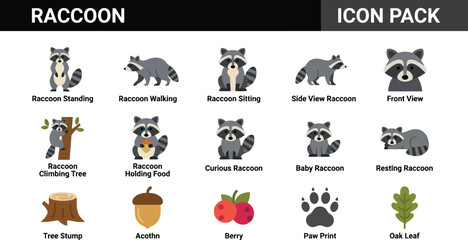 Obraz premium Collection of Raccoon Icons Showing Various Poses and Forest Elements in Flat Style