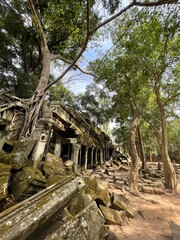 Fototapeta premium ta prohm temple cambodia
