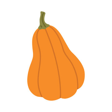 Cute vector illustration of  decorative pumpkin , ideal for autumn harvest, Halloween, Thanksgiving, gardening and seasonal decoration.