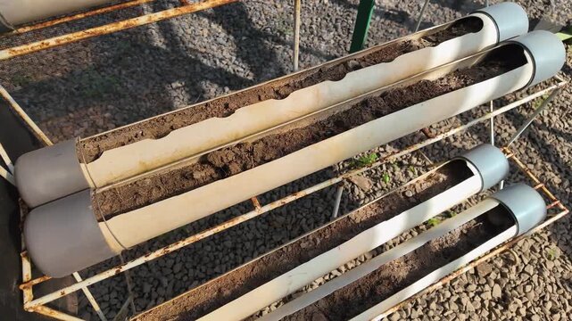 Dried-Out Growing Medium in PVC Pipe Hydroponic System