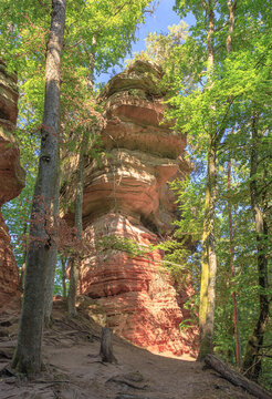 Fels beim Altschlossfelsen bei Eppenbrunn in der Pfalz