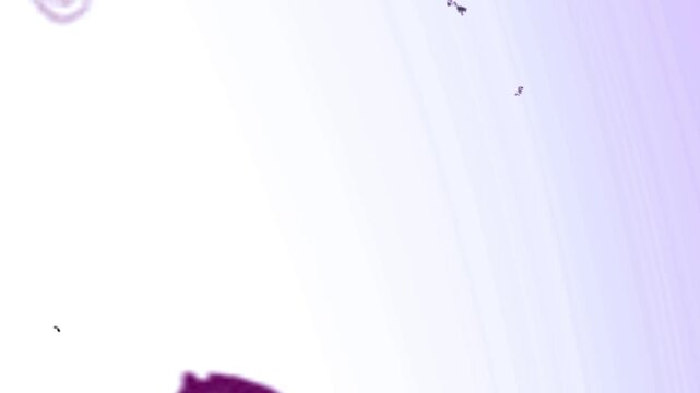 film burn transition with purple and white hues, perfect for adding a vintage or artistic effect to your videos. Use this clip to create dynamic scene changes.