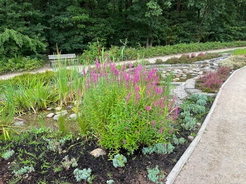 Wasserlauf im Heidegarten Schneverdingen mit Blumen in der L&uuml;neburger Heide