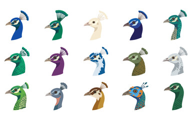 Fototapeta premium Elegant Peacock Logo Vector Collection with Colorful Decorative Feather Designs