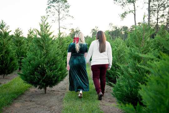 Two women holding hands at a Christmas tree farm