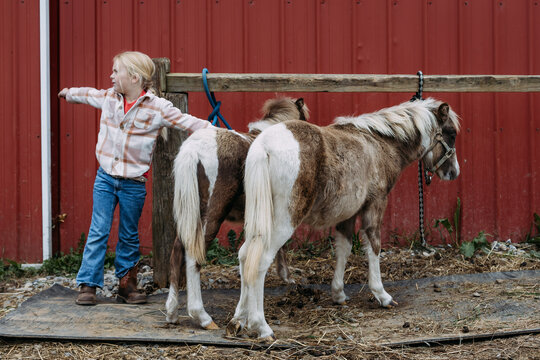 Child Helping With Pony Care at Barn