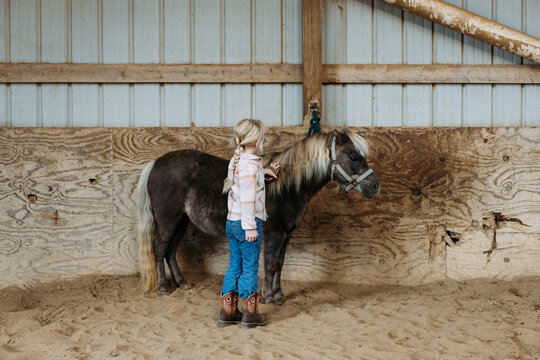 Young Child Brushing Miniature Pony Inside Stable