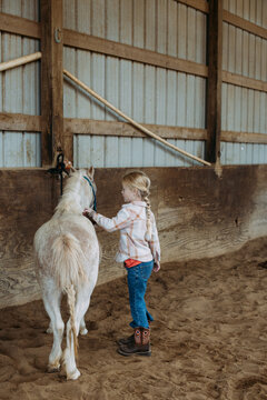 Young Girl Grooming Pony In Stable