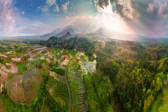 Aerial view of lush green rice terraces reflecting the sky in th
