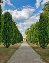 schöne Allee auf dem Weg zum Haupteingang  auf dem Hauptfriedhof Mülheim Ruhr © Blende8