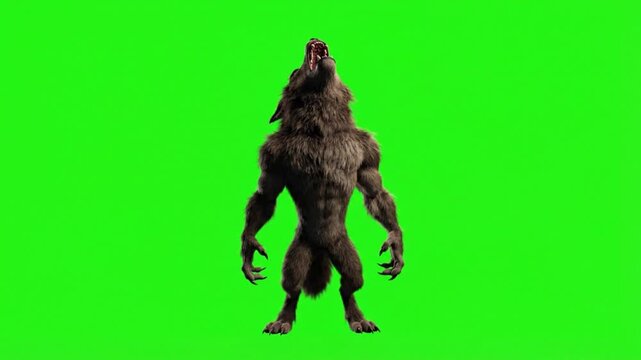 Fierce werewolf howling creature on a green screen background