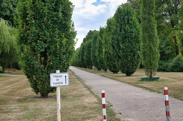Fußweg zur Trauerhalle zwischen Säulen-Hainbuchen  auf dem Hauptfriedhof Mülheim Ruhr © Blende8