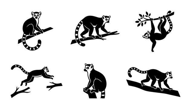 Lemur Silhouettes Set, Primate Vector Icons, Tropical Wildlife Collection, Jungle Animals Graphics, Black and White Illustrations
