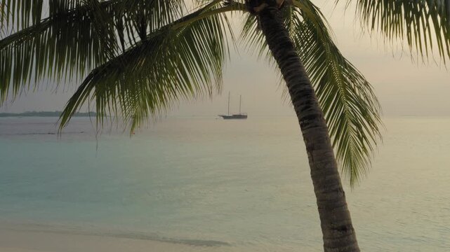 A static wide shot of an anchored two-masted sailing yacht on a calm turquoise lagoon, framed by arching coconut palm fronds and a sandy beach in the Maldives.