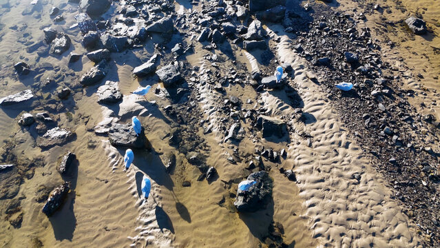 Aerial View of Seagulls on Textured Sand Ripples and Rocks