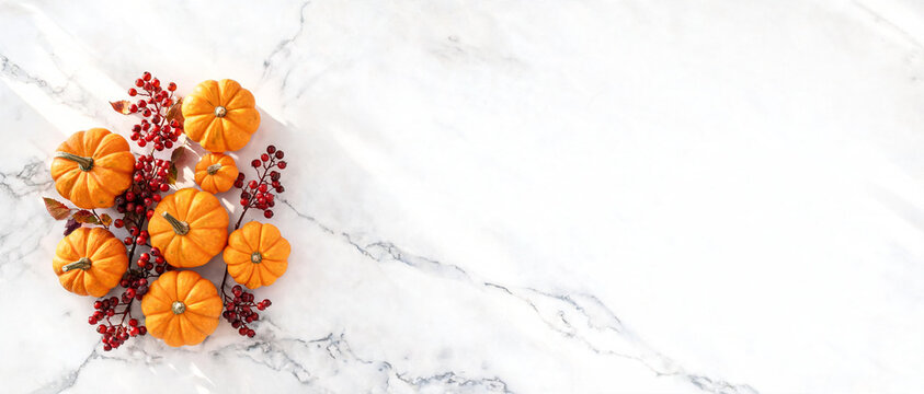 Autumn Pumpkin Flat Lay Banner Background, Thanksgiving Harvest Table Decor, Fall Mini Pumpkins Berries, Marble Surface Copy Space Composition, Seasonal Holiday Header Design, Top View Orange.