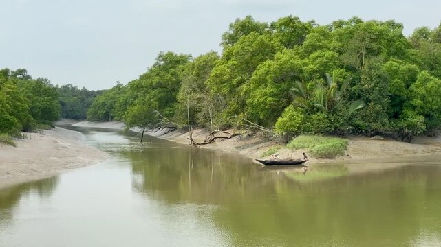 Khulna, Bangladesh &ndash; March 20, 2025: Local fishermen navigate a traditional wooden boat along a narrow tidal channel surrounded by dense mangrove forest in the Sundarbans